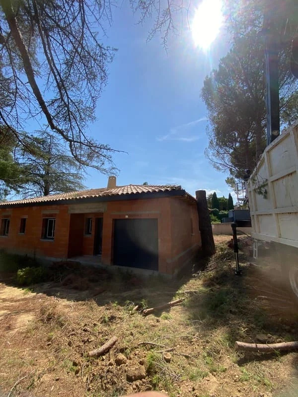 Démontage d’un pin par un arboriste grimpeur à Narbonne
