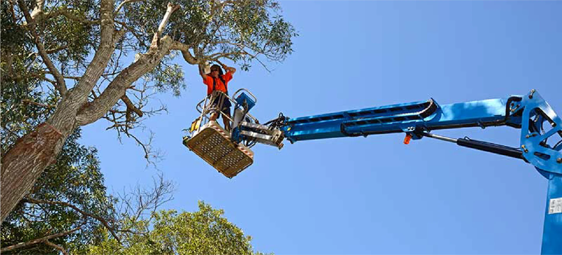 Professionnel équipé pour une intervention sur le terrain